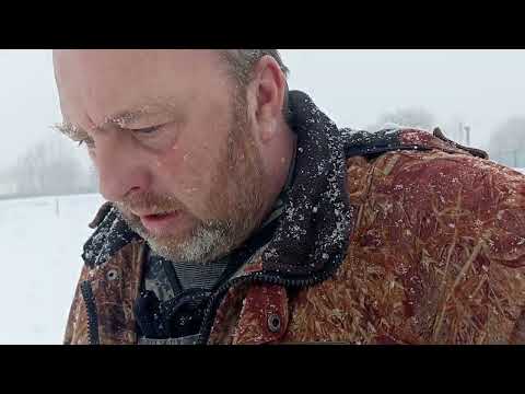 Видео: Жизнь и смерть кроликов в вольере