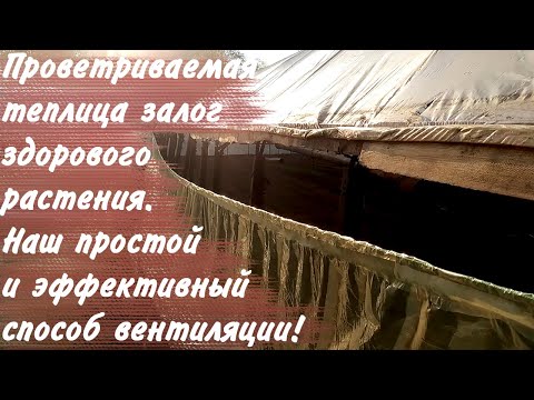 Видео: Как проветривать теплицы просто и эффективно без лишних затрат!