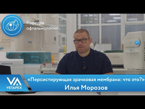 Видео: Кафедра Офтальмологии «Персистирующая зрачковая мембрана: что это?»