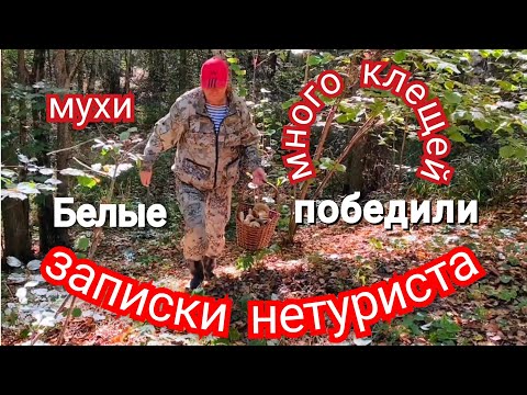 Видео: Белые нас победили.#белые #грибы #лес #осень 