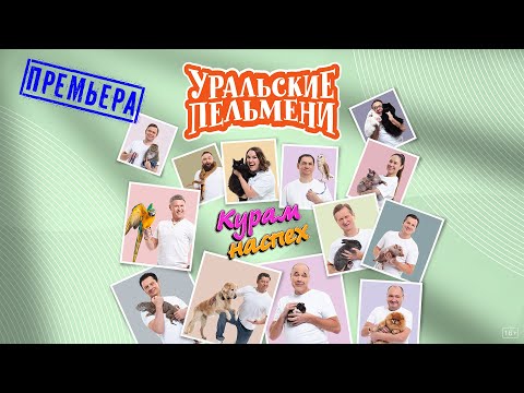Видео: Курам Наспех — Уральские Пельмени