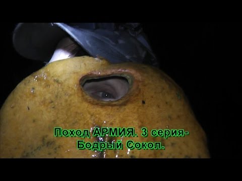 Видео: Поход АРМИЯ. 3 серия-Бодрый Сокол.