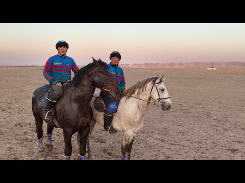 Видео: Бишкек Чон Алайдын улагы 15.11.2025