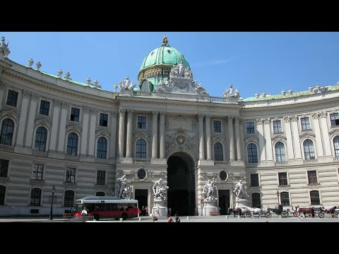 Видео: Вена