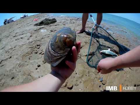 Видео: 30.07.21/Рыбалка на Шардаре/Шардарада балық аулау/Fishing on the Shardara reservoir