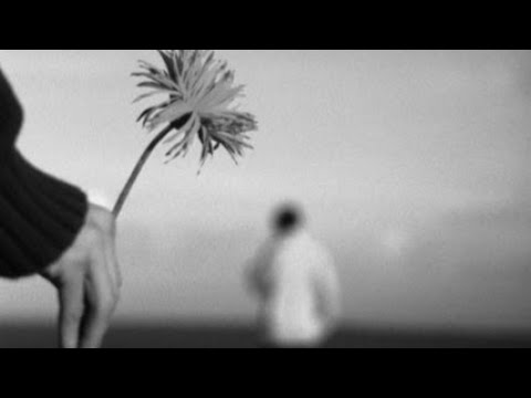 Видео: "ВЕЛИКАЯ СИЛА ПРОЩЕНИЯ" (Рав Исраель Якобов)