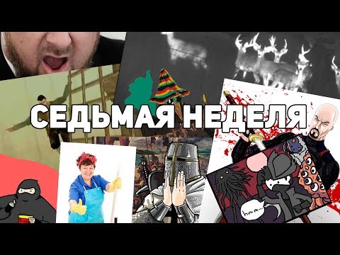 Видео: Седьмая неделя (1/2)