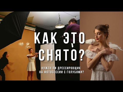 Видео: Балерина, голуби и фокусник! Как с импульсом фотографировать в студии.И что стало с бумажным фоном?