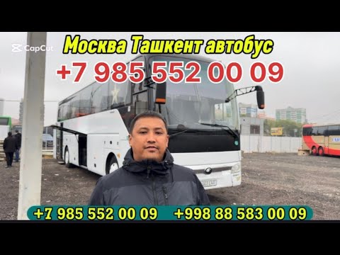 Видео: Москва-ташкент автобус +7-985-552-00-09
