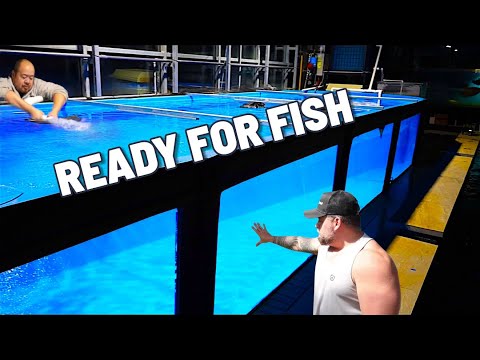 Видео: 15 000-галлонный монстр-аккумулятор получает ПОЛНУЮ модернизацию системы фильтрации! 🔥