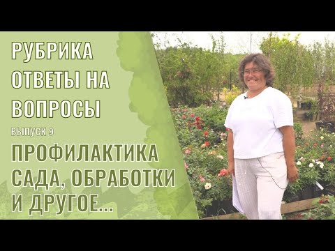 Видео: Ответы на вопросы выпуск 9