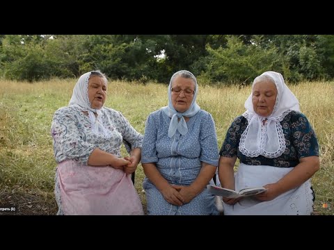 Видео: "Ах, юность, юность! Ты золотая"