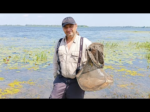 Видео: ПОЙМАЛ СТОЛЬКО ЛЕЩА, ЧТО УЖЕ КЛАСТЬ НЕКУДА! А ОН ВСЁ КЛЮЁТ И КЛЮЁТ! Рыбалка на кольцо!