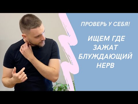 Видео: 7 мест, в которых зажимается блуждающий нерв Проверьте себя!