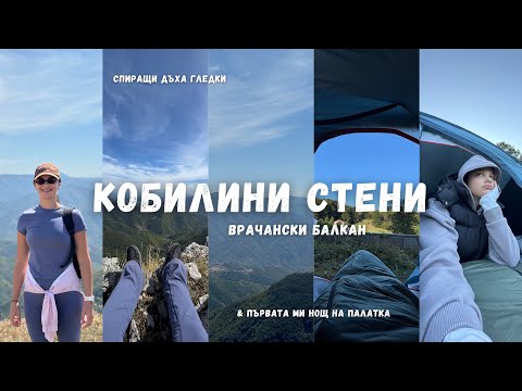 Видео: 24 ЧАСА БЕЗ ВОДА НА ПАЛАТКА 🏕️ какво взех със себе си и беше ли ми студено