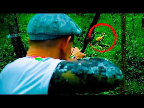 Видео: Секретная техника стрельбы из лука 48 выстрелов по зверю! 3D стрельба из лука #12