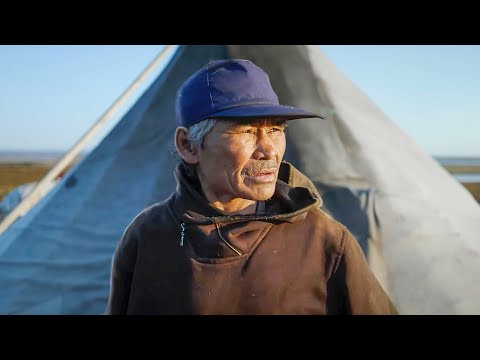 Видео: «Солёная тундра». Один на краю земли | Документальный фильм