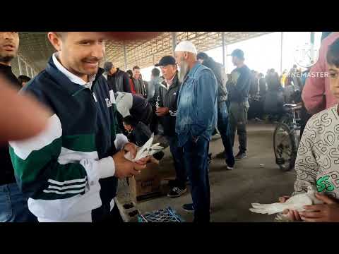 Видео: Рудаки г Душанбе Рудаки Ленинский район падписатся барои пеш рави 07.04.25