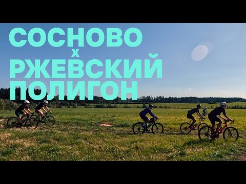 Видео: Сосново - Ржевский полигон: лиса и леса, броды и падения. На велосипеде | 07.09.2024