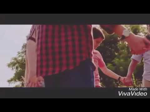 Видео: Рэдди-это любовь..