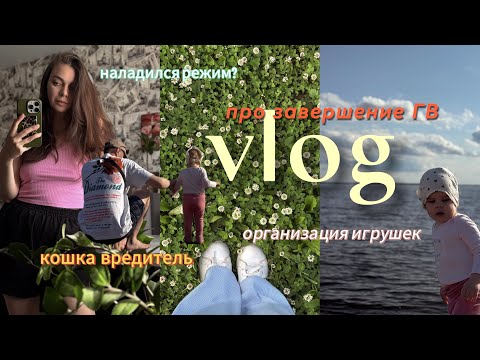 Видео: VLOG 12 | НАЛАДИЛСЯ РЕЖИМ? 🛏️ | ОРГАНИЗАЦИЯ ИГРУШЕК 🧸 |  КОШКА ВРЕДИТЕЛЬ 🐈 | ПРО ЗАВЕРШЕНИЕ ГВ 
