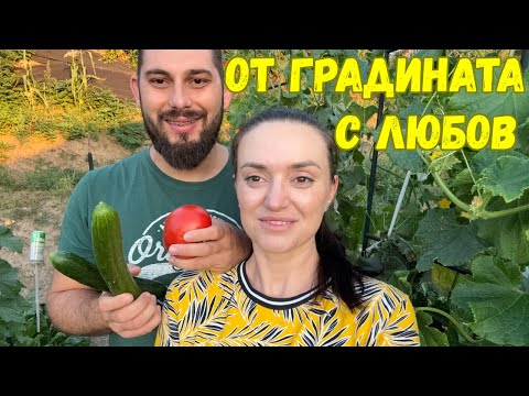 Видео: ЖИВОТ НА СЕЛО: Домашна зимнина и промени у дома | Как расте градината ни 🌱