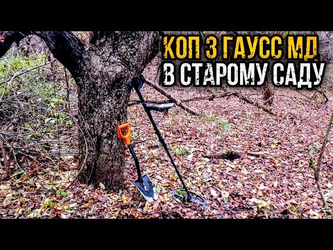 Видео: Пішли копати в старий сад — і не дарма! ПОШУКИ З МЕТАЛОШУКАЧЕМ.