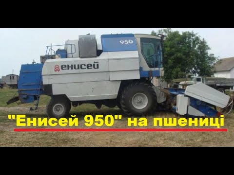 Видео: Комбайн "Енисей 950" на пшениці.