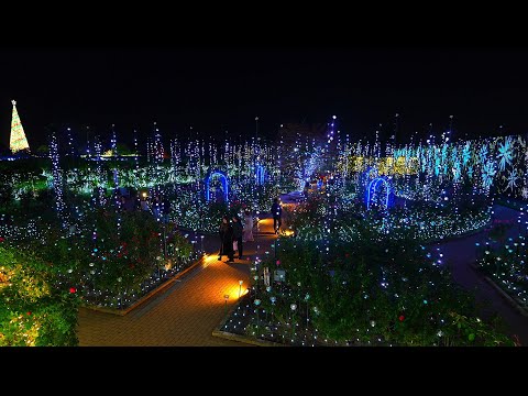 Видео: Парк цветов Асикага, одно из трех величайших представлений в Японии, просто потрясающий!