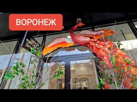 Видео: ВОРОНЕЖ, ЧАСТЬ 3 #воронеж