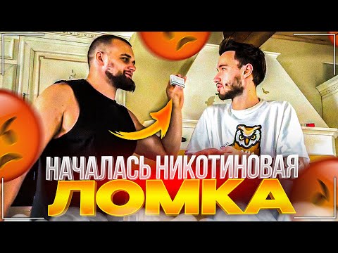 Видео: УГАРНОЕ УТРО НА СТРИМХАТЕ | ДАНИЛА ГОРИЛЛА ПРОСНУЛСЯ С КРАСИВОЙ ДЕВЧОНКОЙ