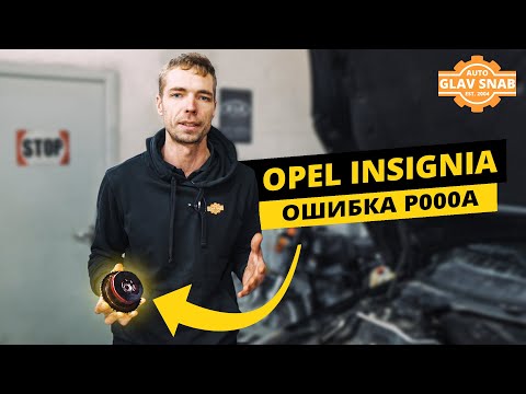 Видео: Opel Insignia - ошибка P000A, плавают обороты при холодном запуске. Устраняем неисправность.