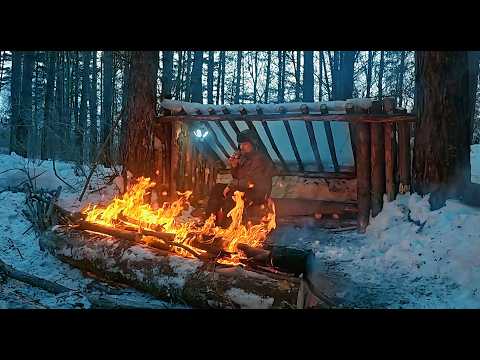 Видео: 24 часа в Идеальном Бушкрафт Лагере. Посмотрите, Как Я Это Сделал!