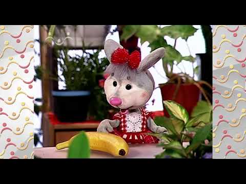 Видео: Шишкин Лес.  Зимний сад.  Банановое дерево
