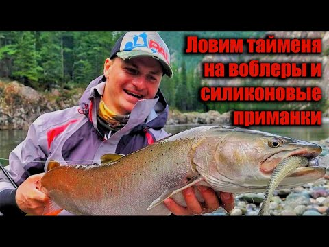 Видео: Ловим тайменя. Советы бывалых таймешатников.  Ловля тайменя на воблеры и силиконовые приманки.