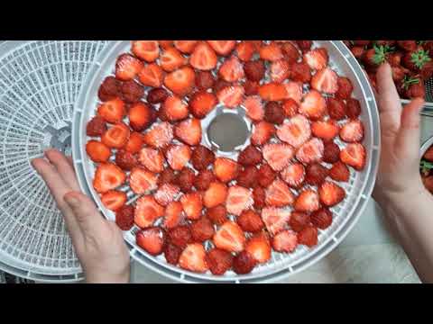 Видео: Заготовка клубники. Сушим клубнику в дегидраторе.