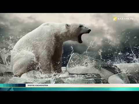 Видео: Digital Кazakhstan. Как решить экологические проблемы Казахстана с помощью технологий?
