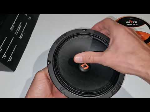 Видео: DL Audio Raven 165 V 2 идеальный эстрадный широкополосник