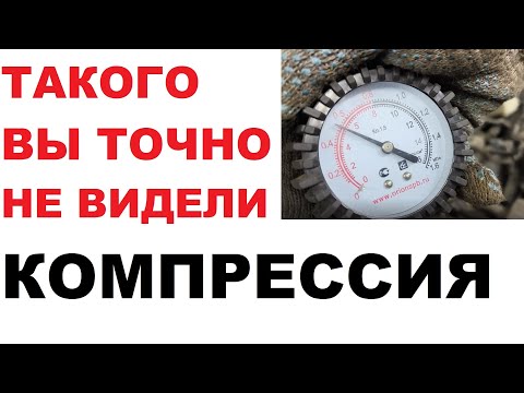 Видео: Если бы не снял, никто бы и не поверил. Оживляли двигатель 1 zz  - fе.