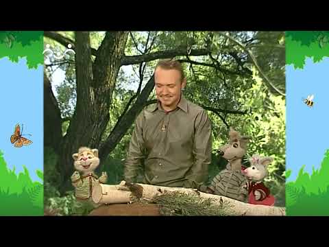 Видео: Утро в Шишкином Лесу. Быт. Необычный концерт