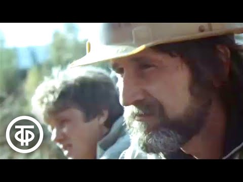 Видео: Золотое звено. Документальный фильм (1985)