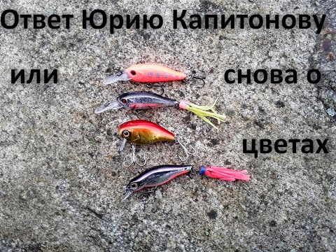 Видео: Ответ Юрию Капитонову или снова о цветах