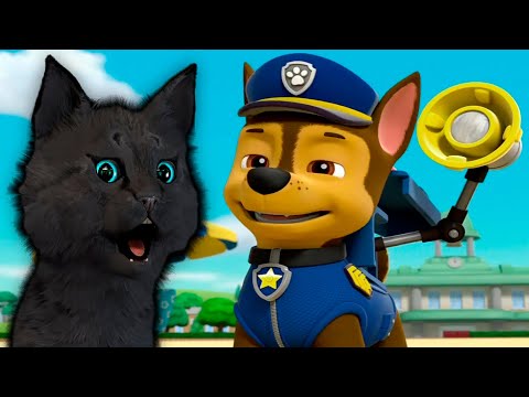 Видео: СУПЕР КОТ И СУПЕР СОБАКИ СПАСАЕМ ДЖЕКА В ГОРАХ У НЕГО НОЖКА БОБО #4 🐱 Mighty Pups Save Adventur #229