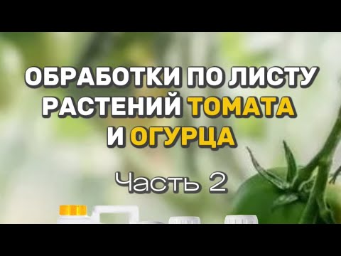 Видео: Обработки по листу томата и огурца, часть 2