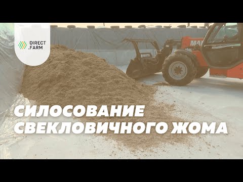 Видео: Заготовка свекловичного жома на зиму для кормления молочных коров