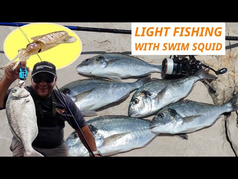 Видео: Rockbound Light Tackle Adventures #18: я нашел морских лещей и протестировал Swim Squid LRF! 💣💥🔥