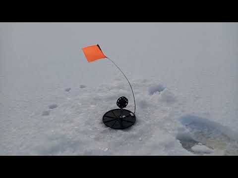 Видео: Есть рыба.Подледные монстры гнут жерлицы.