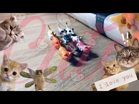Видео: Ці котики підкорили TikTok! 😻 Розпаковка KETIK