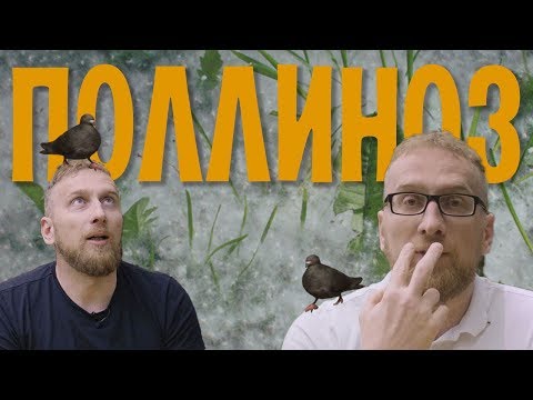 Видео: Пыльца. Сезонная аллергия
