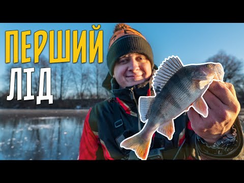 Видео: МОТИЛЬ ЧИ БЕЗМОТИЛКА. Зимова рибалка на першій кризі 2022-2023